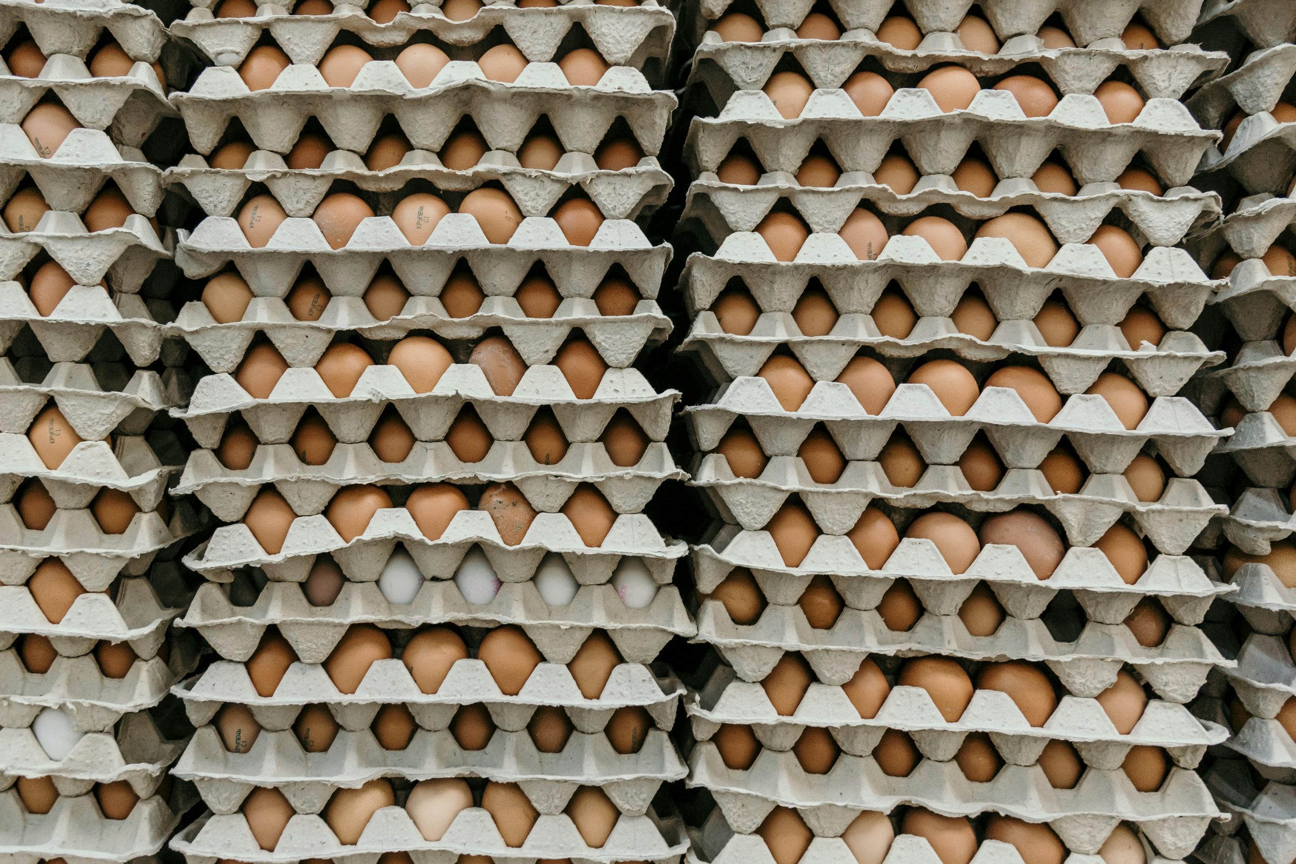 eggs-carton