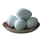 duck-eggs-by-tamago-series