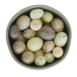 quail-eggs-by-tamago-series
